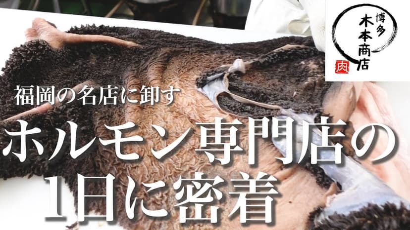 株式会社木本商店様